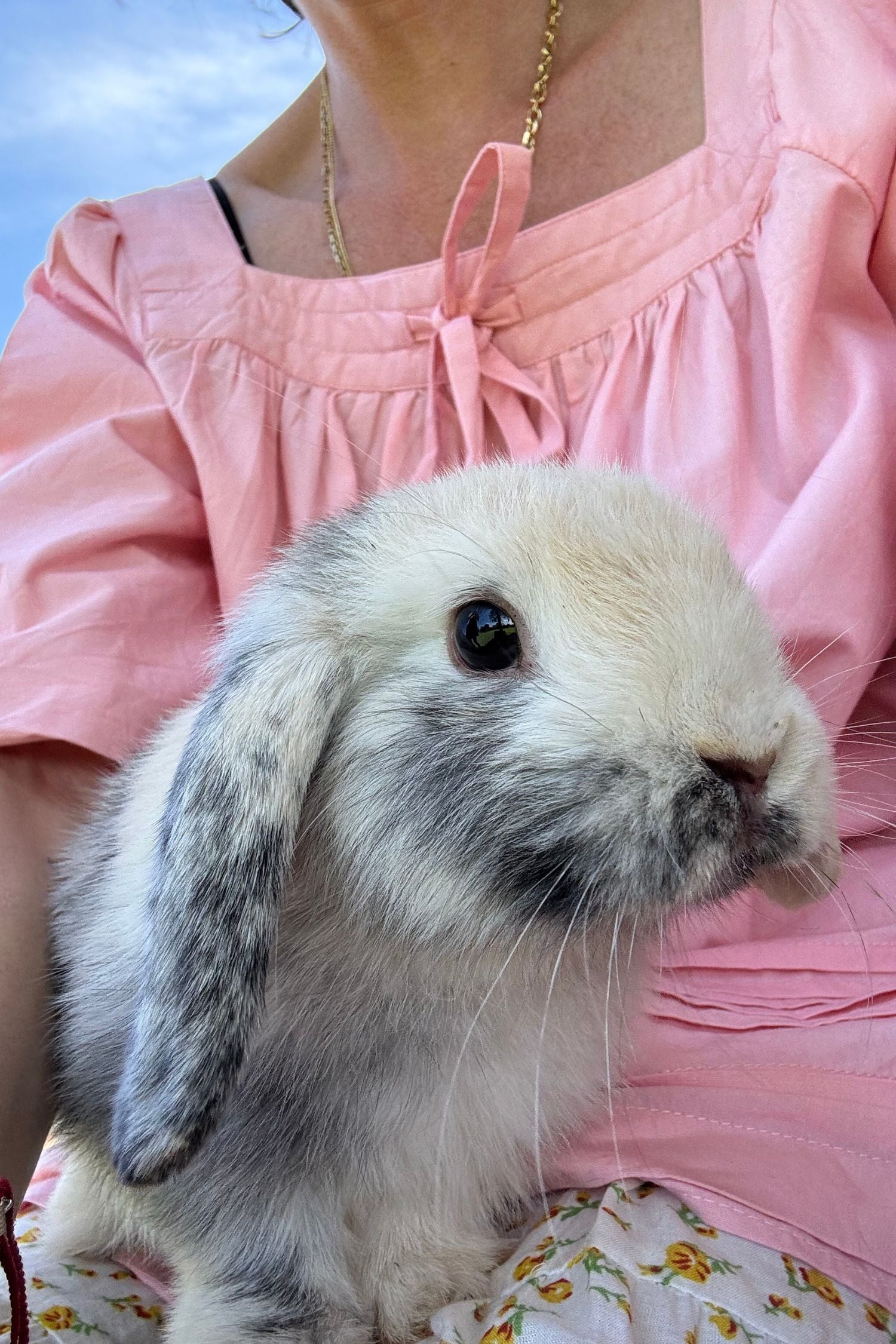 Celine Blouse in Flora Pink