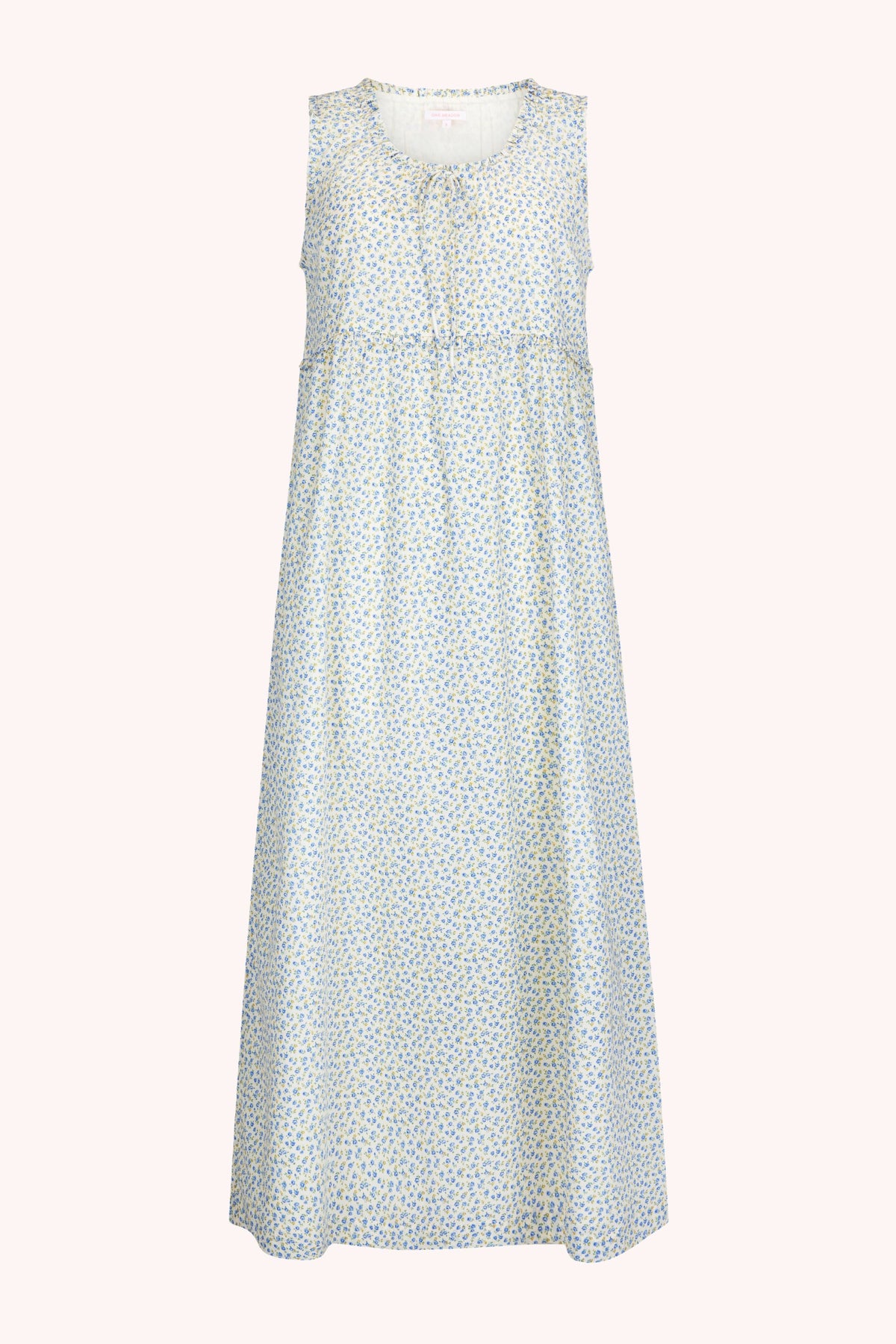 Meadow Day Dress In Blue Ivy