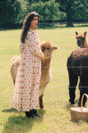 Harriet Winter Dress in Farmhouse Bloom