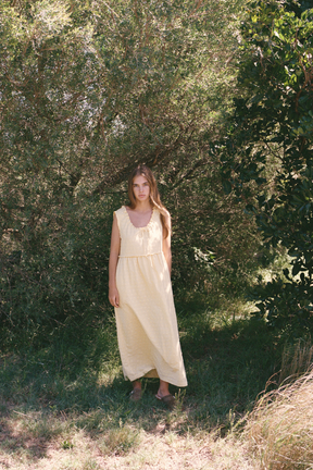 Elodie Midi Dress in Primrose