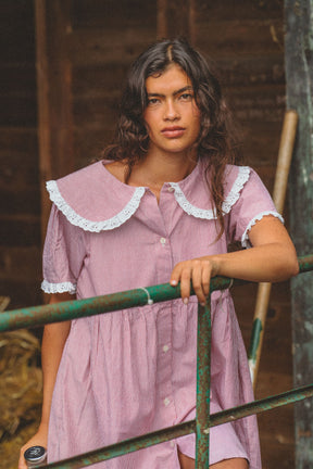 Inka Mini Dress in Cottage Red Stripe