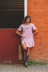 Inka Mini Dress in Cottage Red Stripe