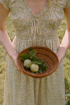 Halle Midi Dress in Apple Florette