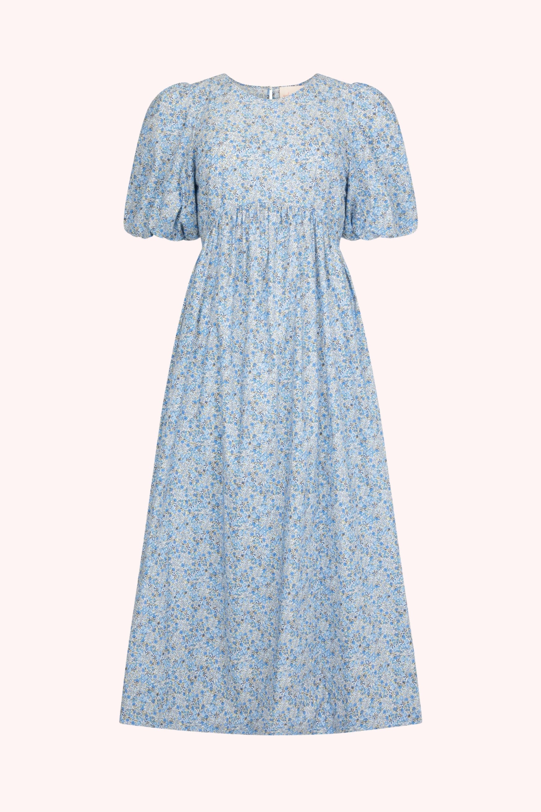 Paloma Midi Dress in French Blue Ditsy