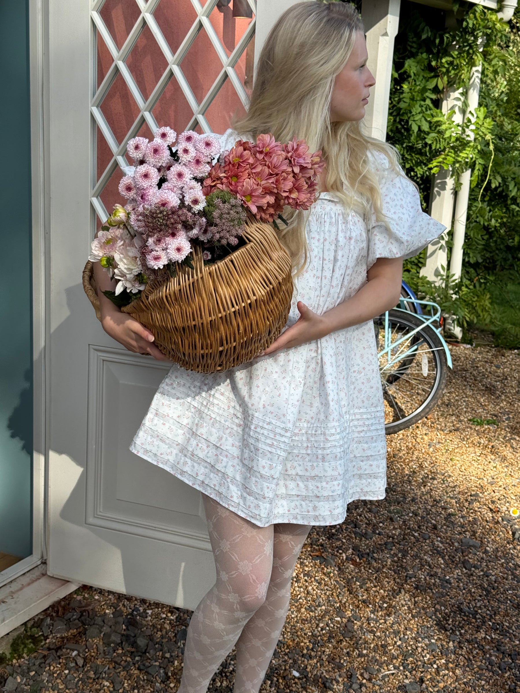 Celine Mini Dress In Winnie Flower