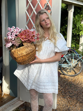 Celine Mini Dress In Winnie Flower