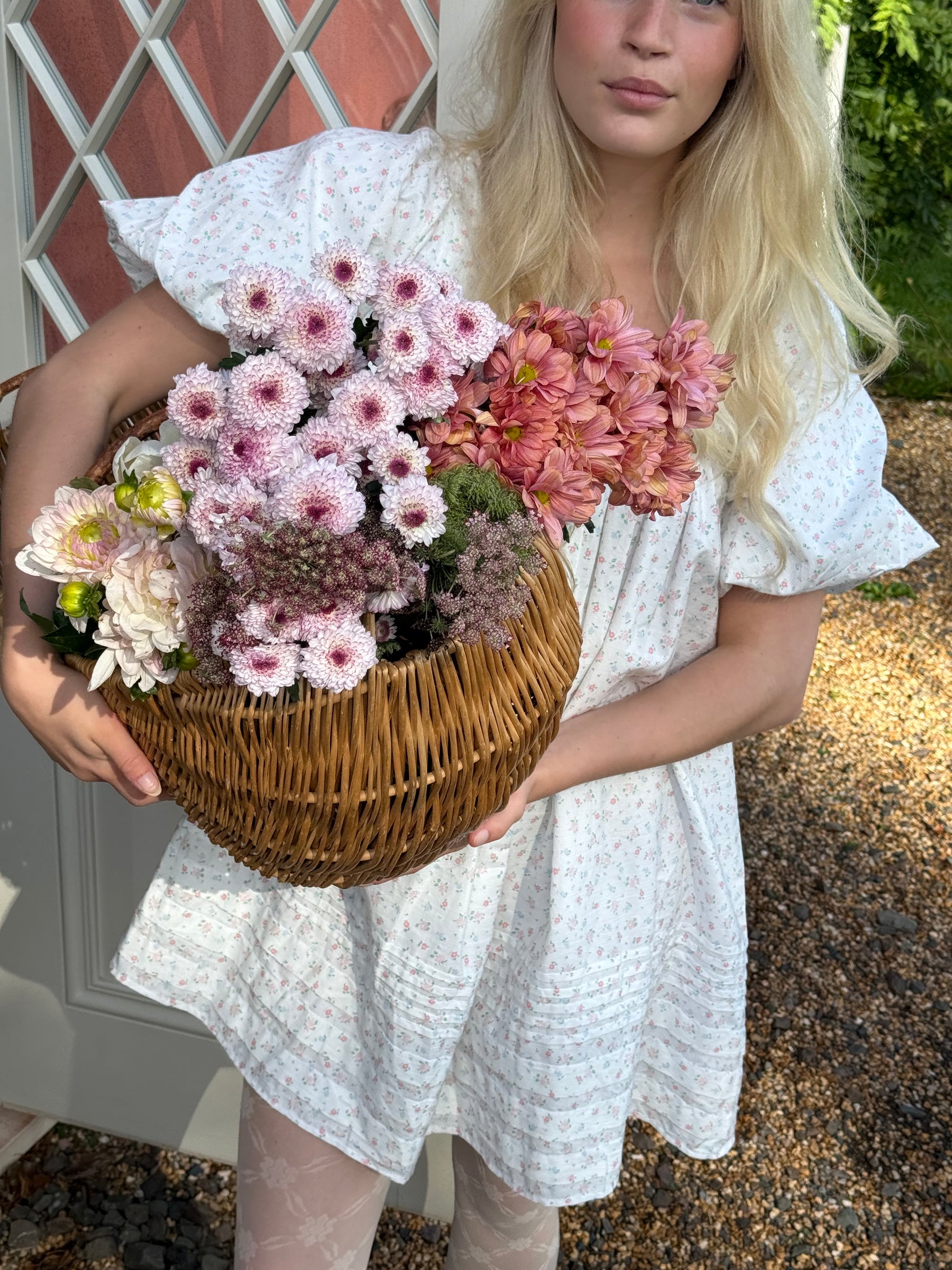 Celine Mini Dress In Winnie Flower
